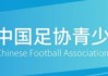 百家乐-第五届中青赛｜湖南赛区男子U13组、女子U14组开赛|足球协会|湖南省足球协会|足球联赛|中国青少年足球联赛|足球_新浪体育_新浪新闻