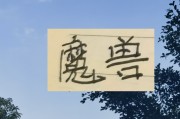 谁才是中超魔兽？ 目前身高超过1米9前锋有申花盖伊 成都费利佩